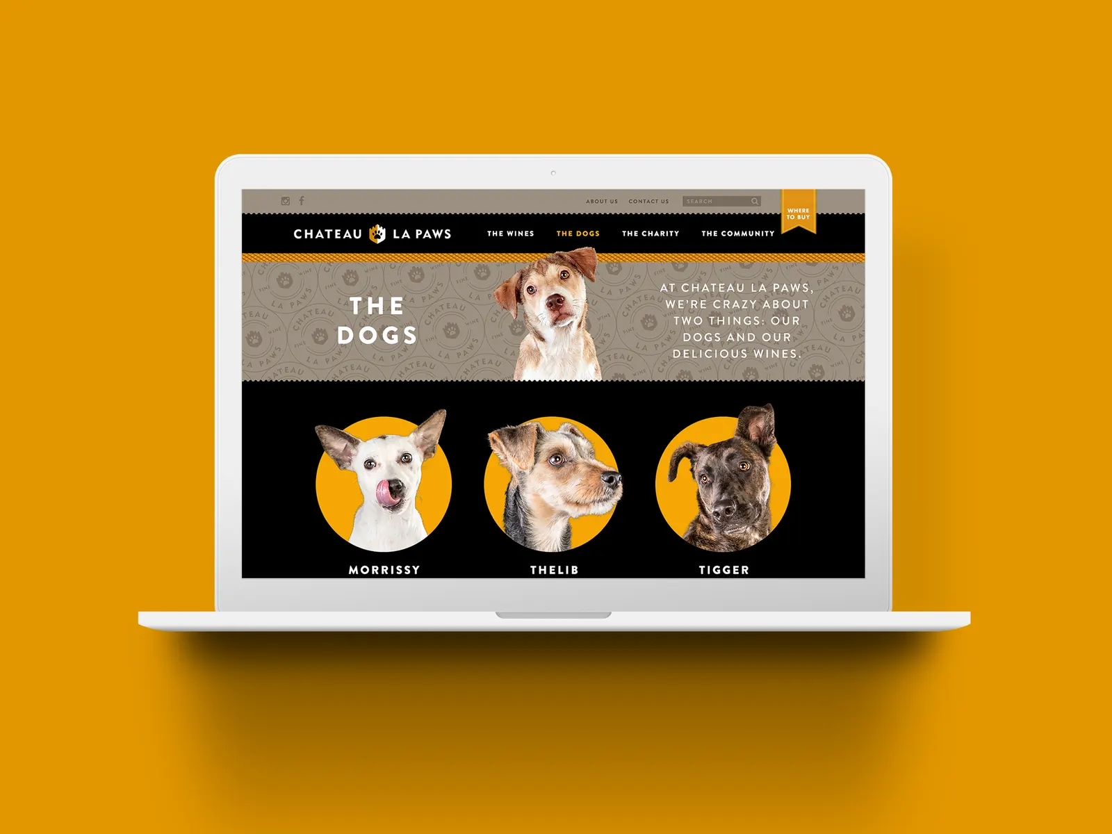 Chateau la Paws project shown on a laptop